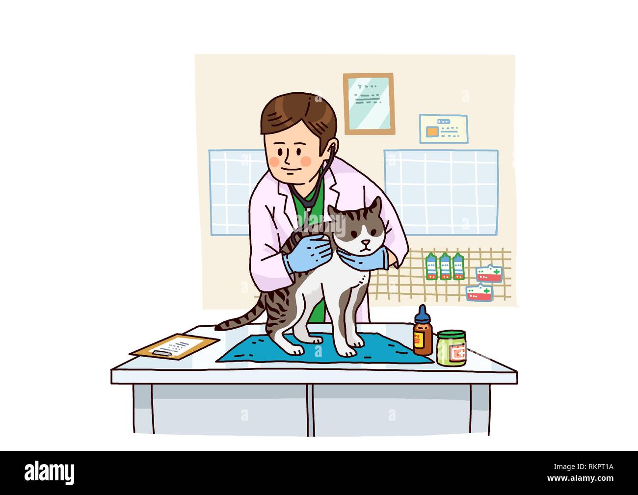 Vector Examination and healthcare for pets illustration. 005 Stock