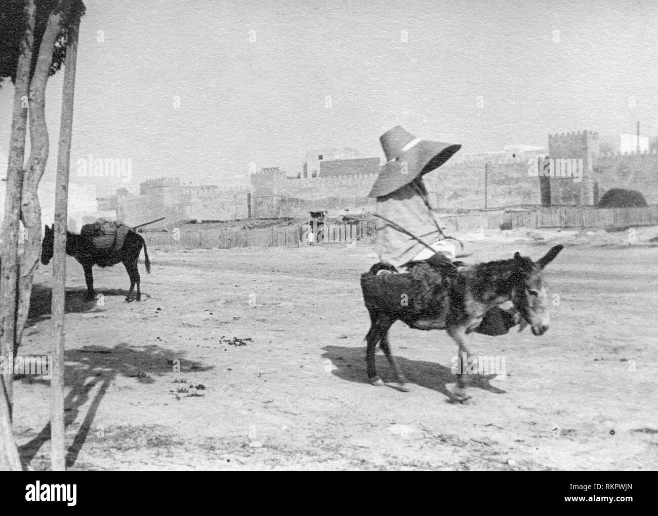 tunisia, sfax, big hat and small donkey, 1910 Stock Photo