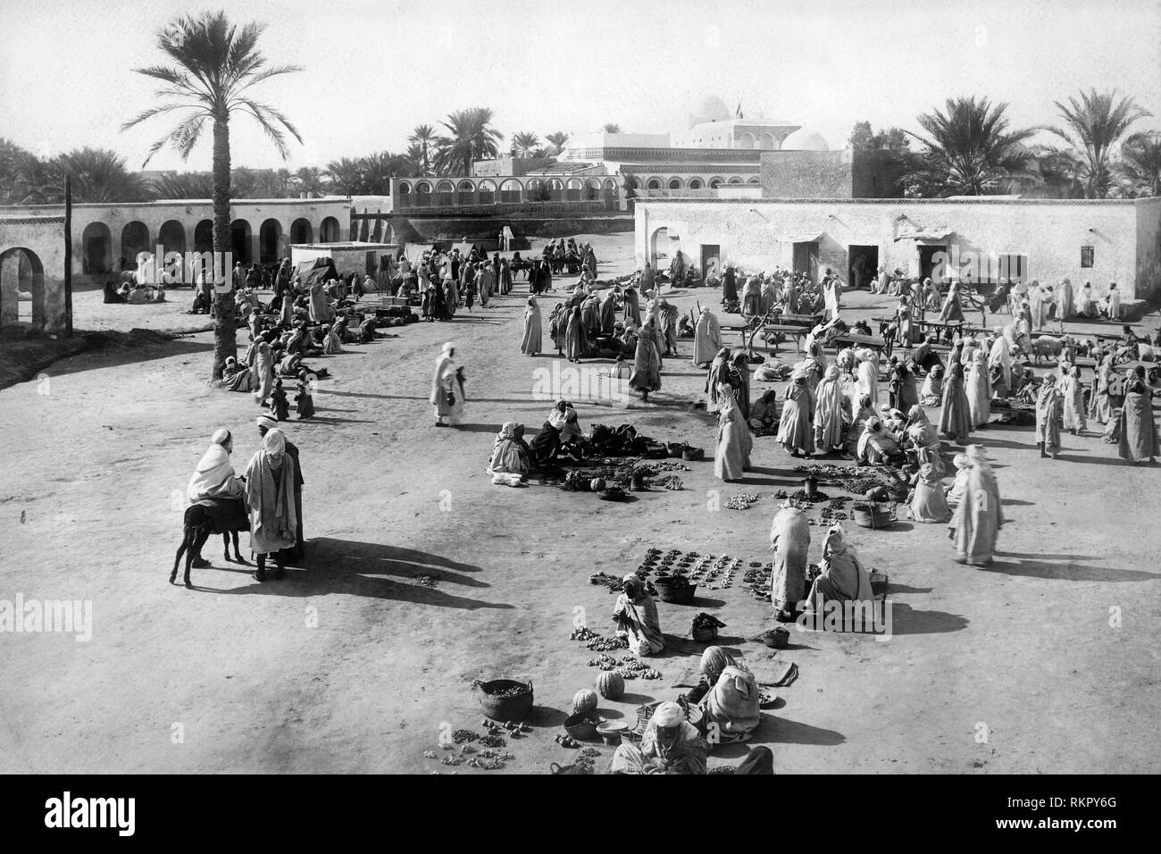 Touggourt hires stock photography and images Alamy