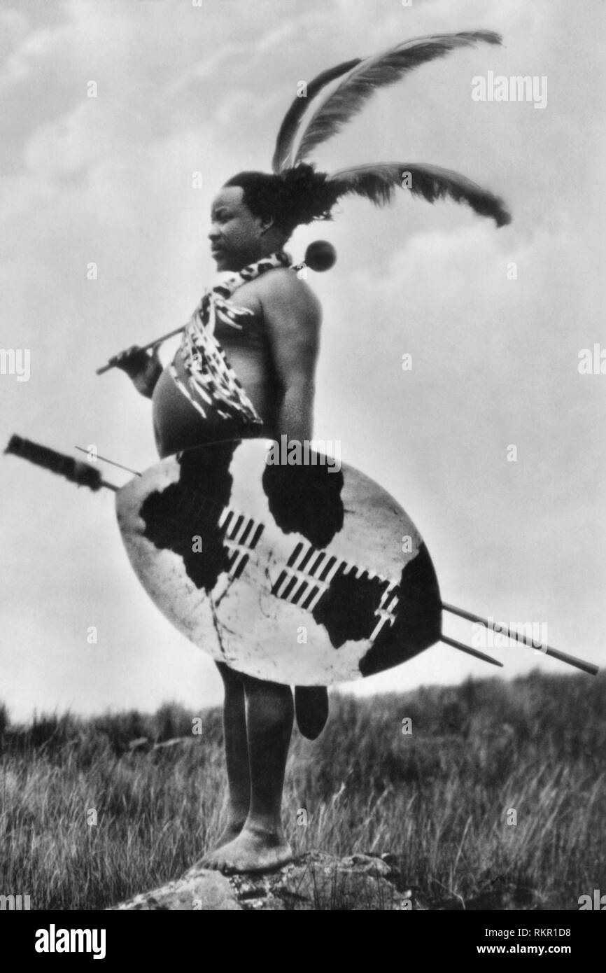 zulu warrior, zululand, soutafrica, africa 1935 Stock Photo