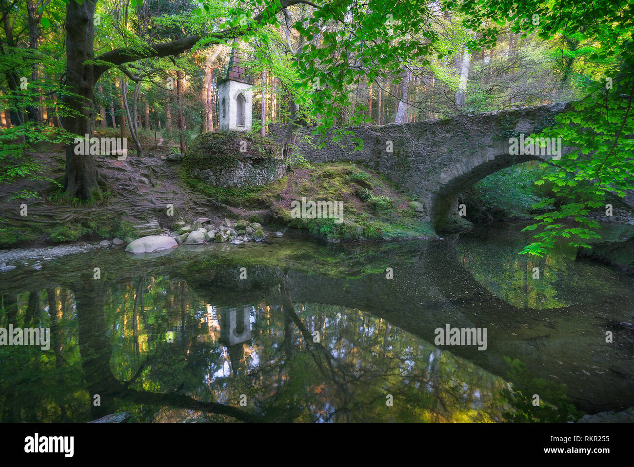Tollymore Forest Park is Northern Ireland first state forest park. River Shimna flows through the park, crossed by 16 bridges, the earliest dating bac Stock Photo