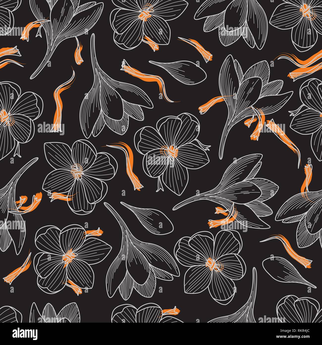 Detailed Orange Saffron and Crocus Flowers Line Drawing Seamless Pattern on Black Background Stock Vector