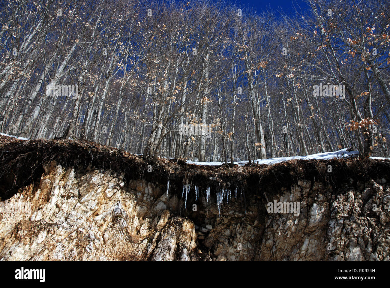 winter snowy landscape on cervato cervati mountain in cilento region salerno italy Stock Photo