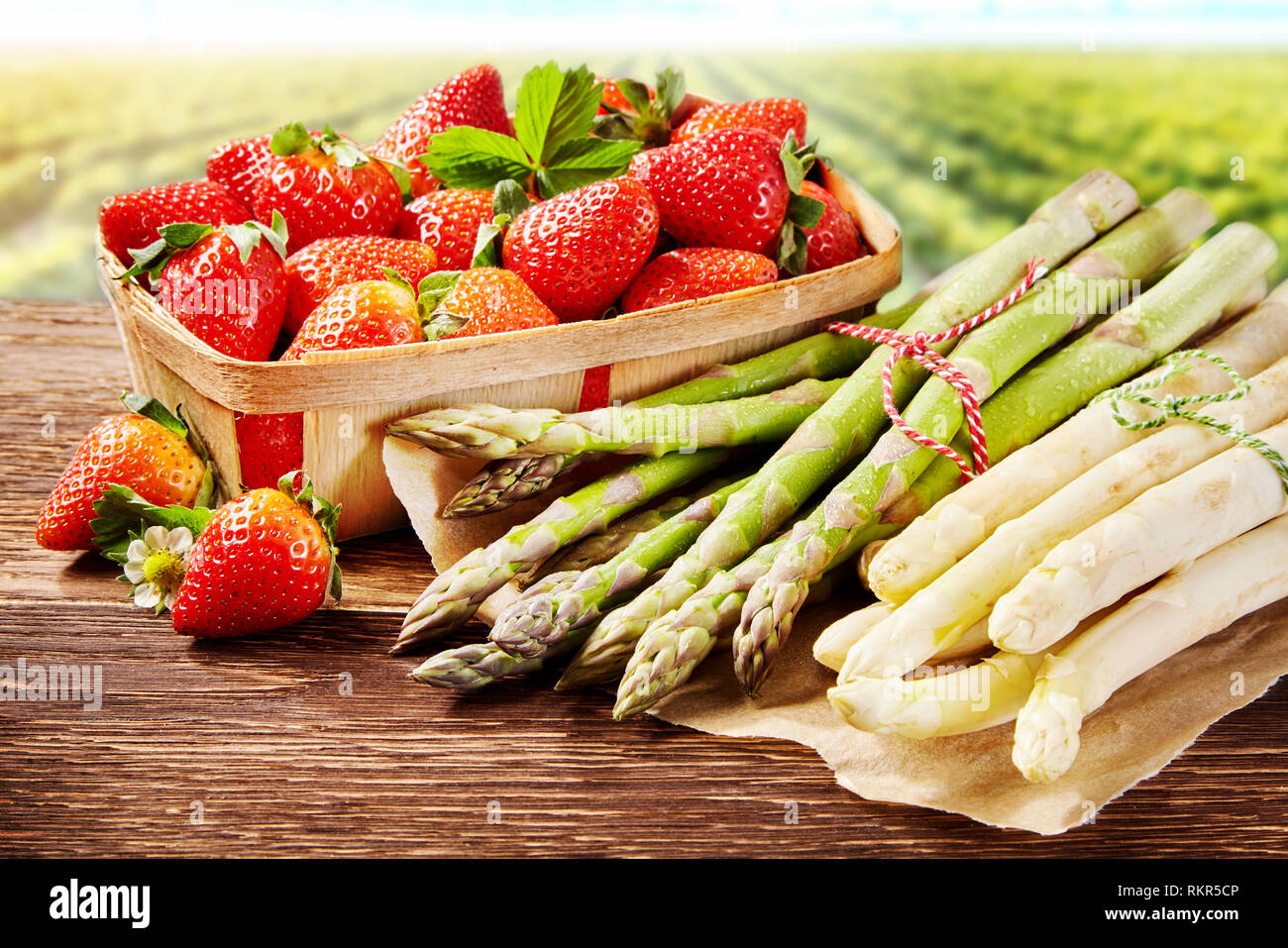 Fresh spring delicacies with white and green asparagus spears and a container of ripe red juicy strawberries outdoors on a farm or garden Stock Photo
