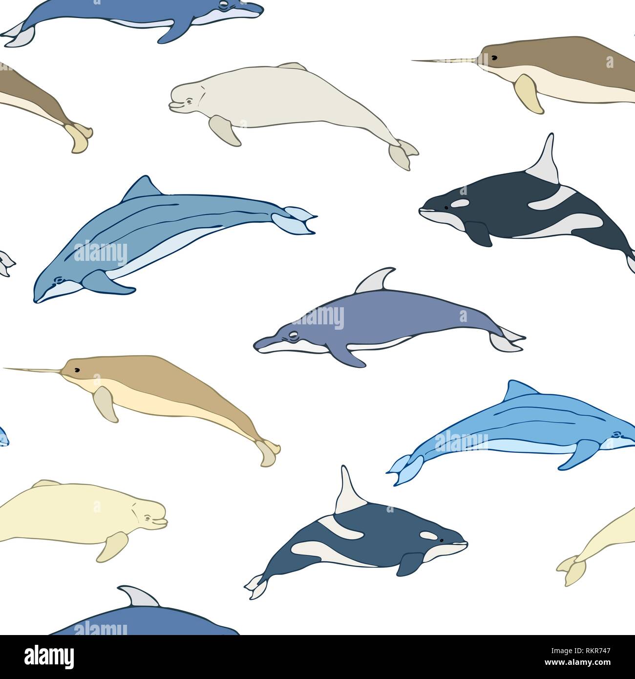Seamless pattern of cartoon whales. Set of species of whales on a white ...