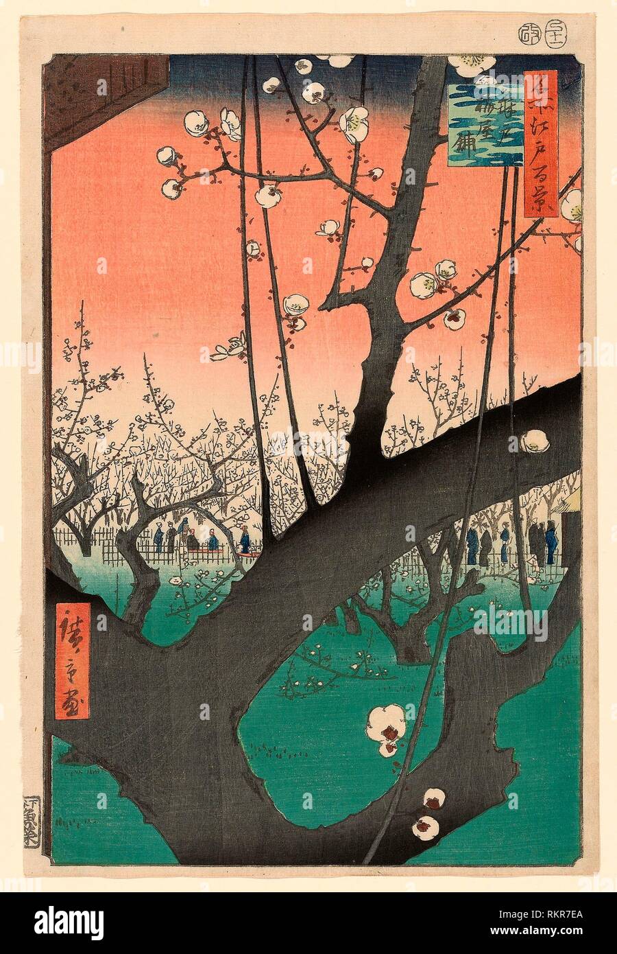 Pass Holder / Plum Garden in Kameido