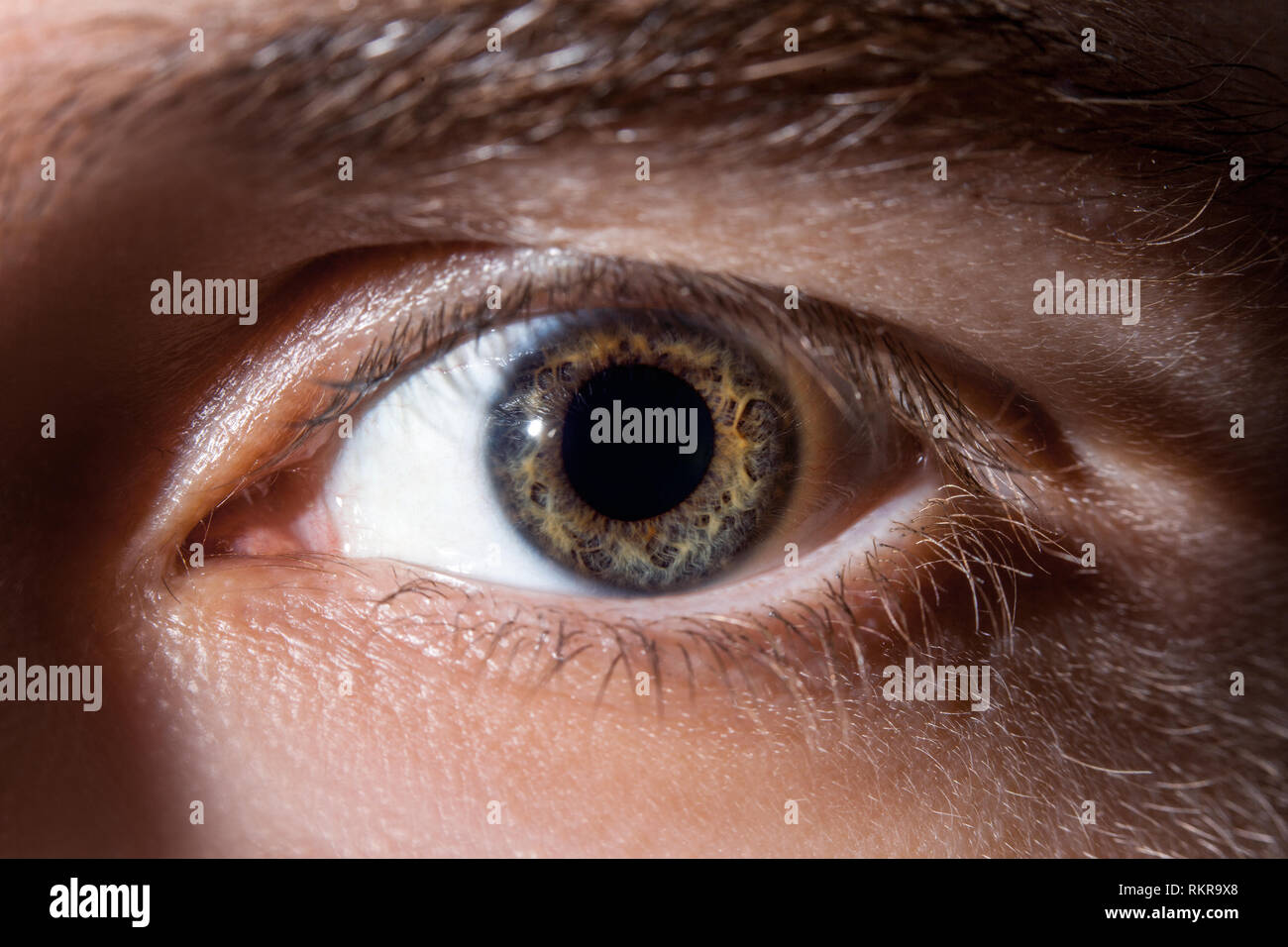 Human Eye Close Up Macro Beautiful Iris And The Pupil Of The Eye