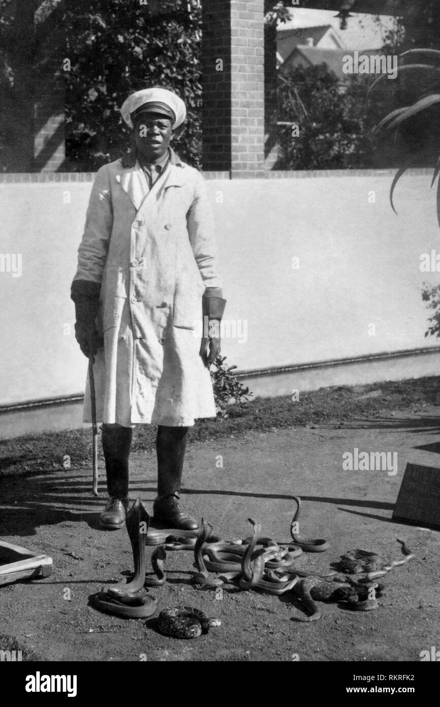 guard of serotherapeutic institute, poisonous cobras and snakes, port elizabeth, southafrica, africa 1920 1930 Stock Photo