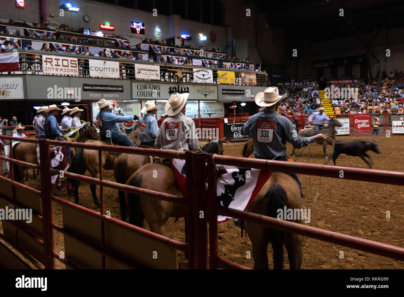 American cowboy doing calf roping or tie-down roping at rodeo in Cowtown Coliseum, arena in the stockyards of Forth Worth, Texas, United States of Ame Stock Photo