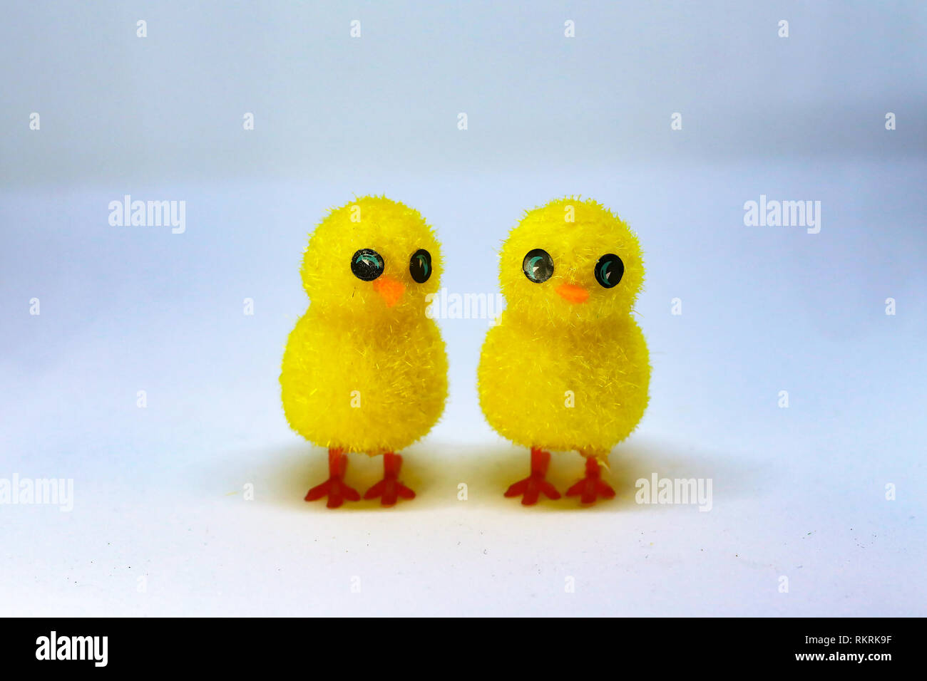 Internationally Holidays / Motifs on Easter theme / Chicken Stock Photo
