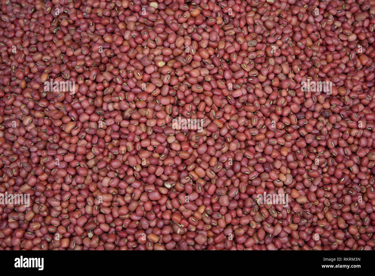 Close up Red Bean background, Red Beans seeds Stock Photo - Alamy