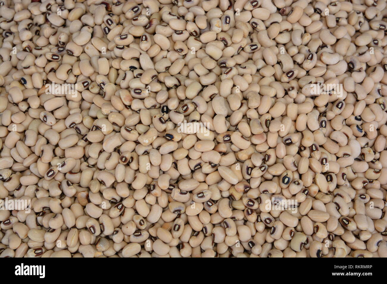 Closeup  and Top view shot of Navy Bean  texture, food background Stock Photo