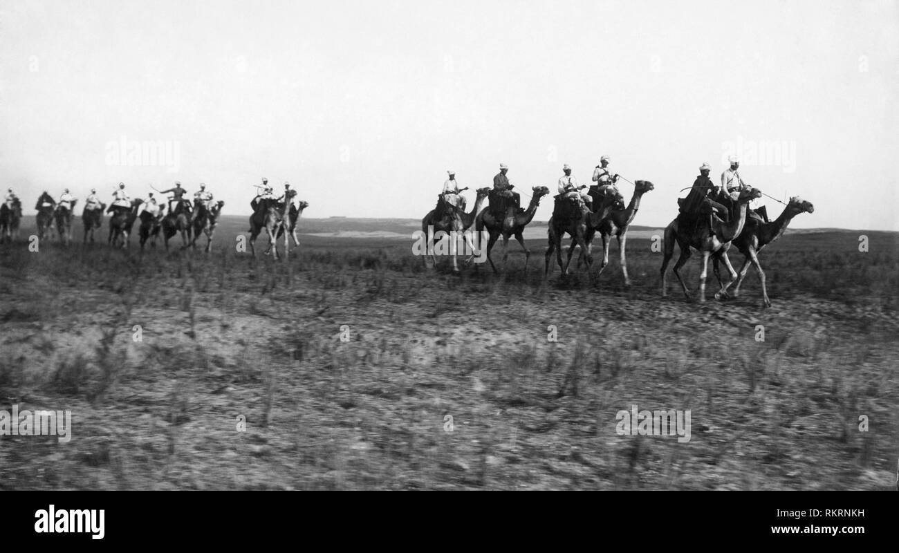 africa, eritrea, team of camel drivers Ascaris, 1920 Stock Photo