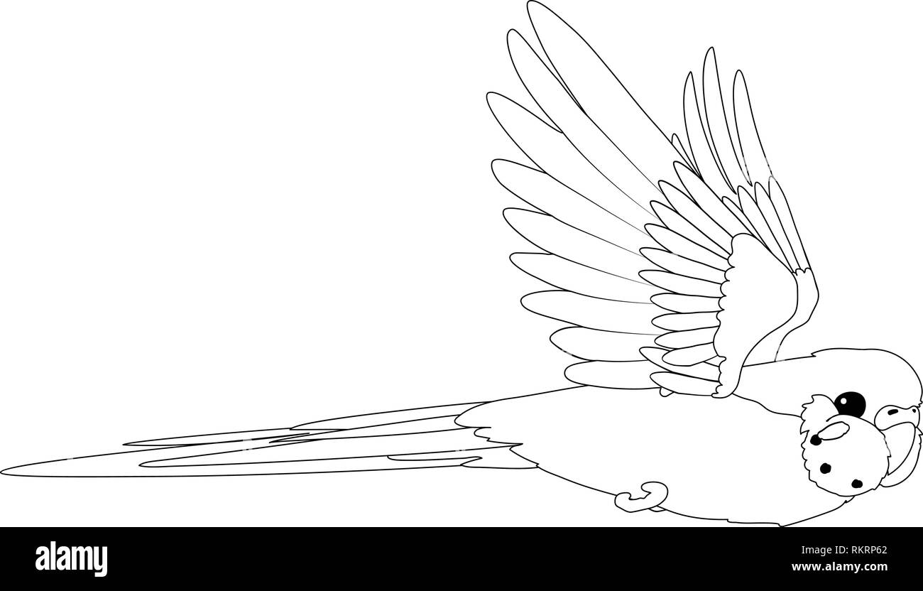vector cartoon animal clip art flying budgerigar Stock Vector