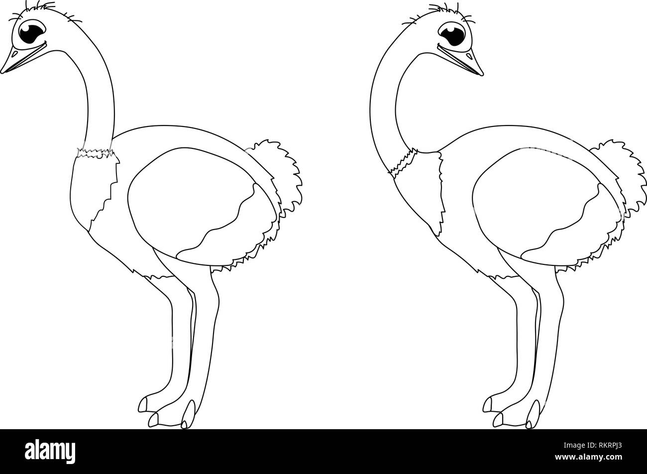 vector cartoon animal clipart african ostrich bird Stock Vector