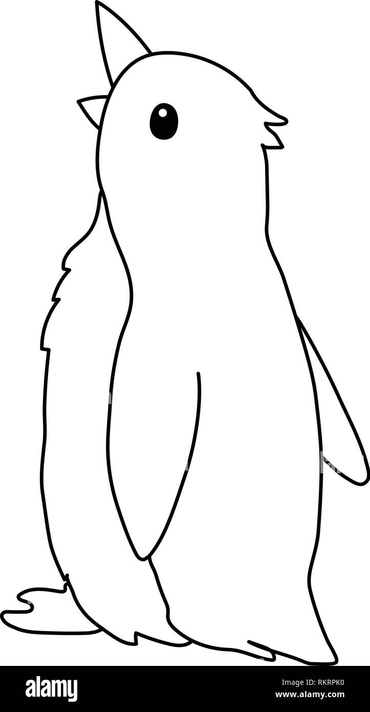 vector cartoon animal clipart cute penguin bird Stock Vector Image