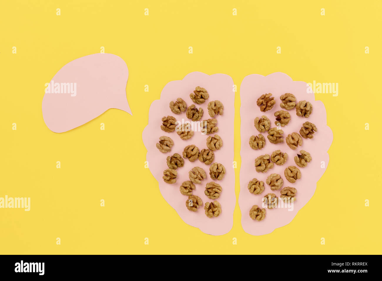 Walnuts as healthy food for the brain. Walnut kernels in shape of human