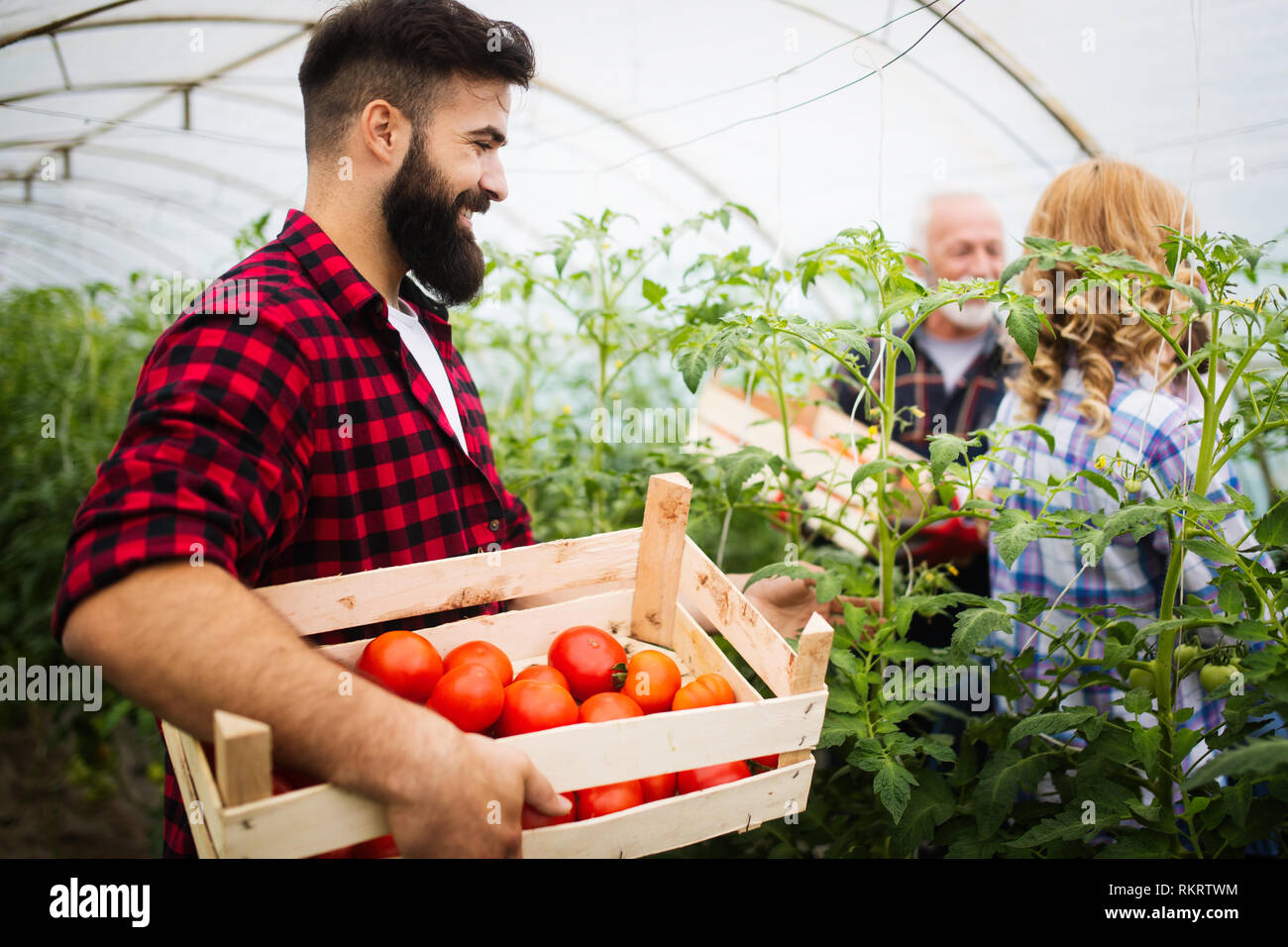 Farmer family picking organic vegetables in garden Stock Photo - Alamy