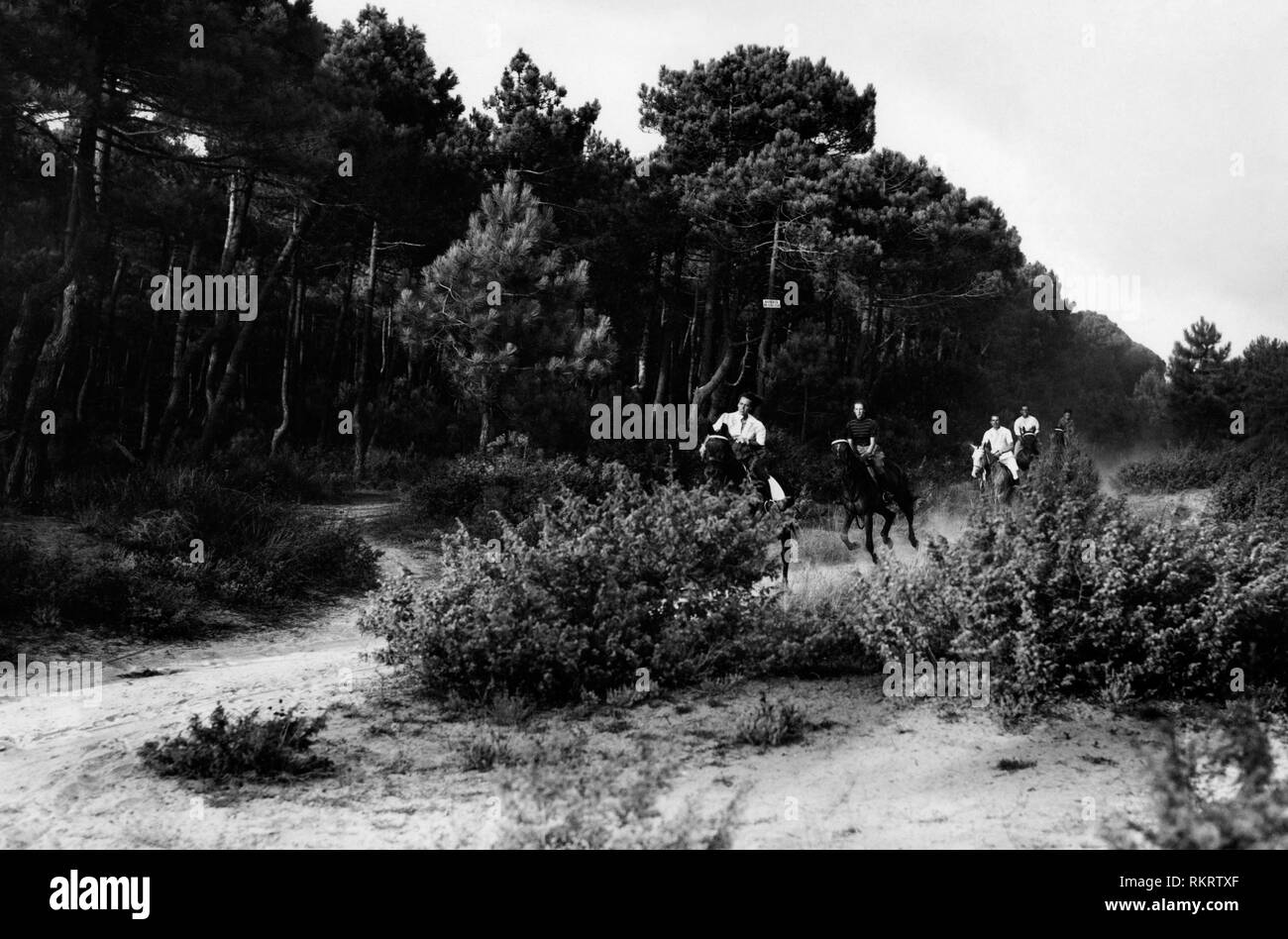 pinewood, viareggio, tuscany, italy 1946 Stock Photo