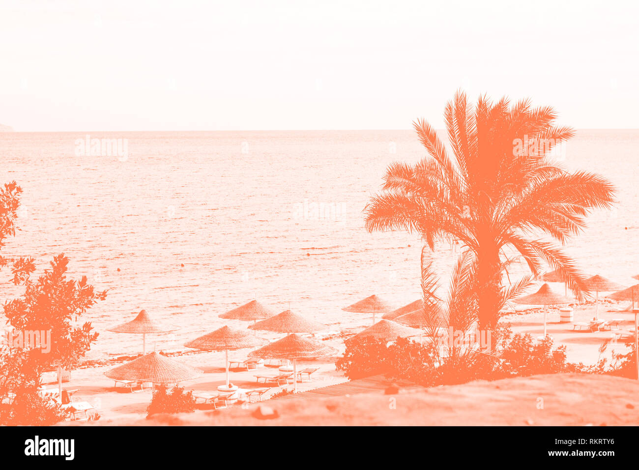 Coral background with Egyptian hotel resort and spa. Coast shore of Red Sea in Sharm el Sheikh, Sinai, Egypt. Stock Photo