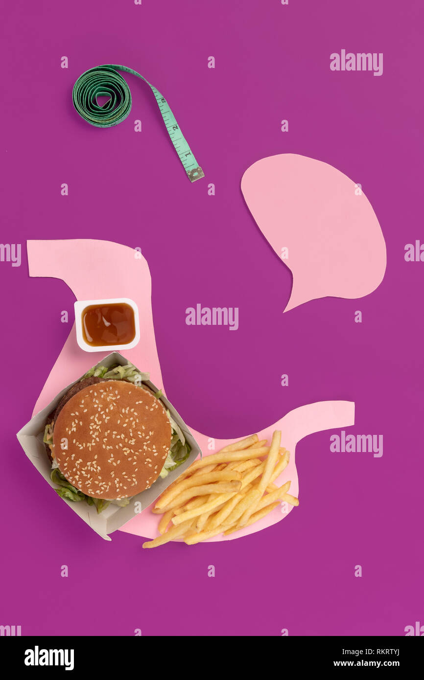 I love fast food. French fries, burger in the form of stomach isolated