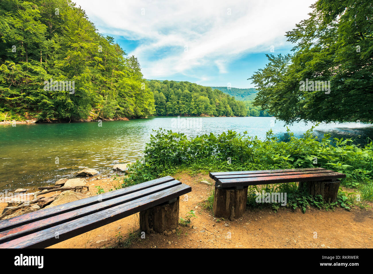 scenic view of the lake among beech forest. wooden benches on the shore ...