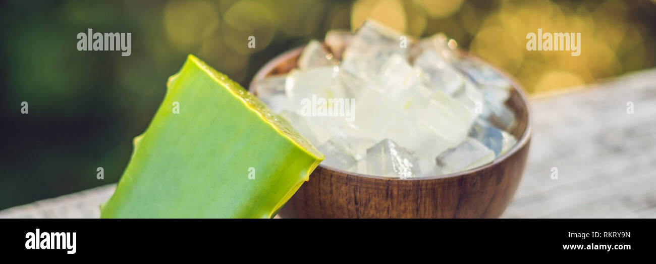 Aloe vera and aloe cubes in a wooden bowl. Aloe Vera gel almost use in food, medicine and beauty industry BANNER, long format Stock Photo