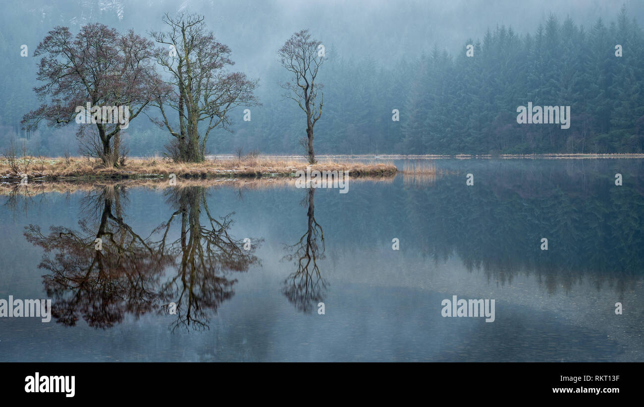 Reflections of three trees in the calm waters of Loch Chon in the Scottish Highlands Stock Photo