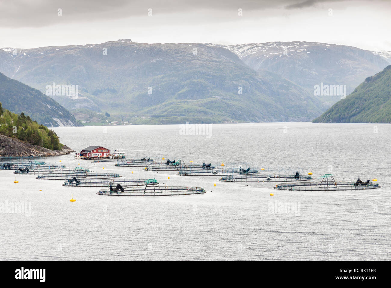 Aquaculture fish farm small hi-res stock photography and images - Alamy