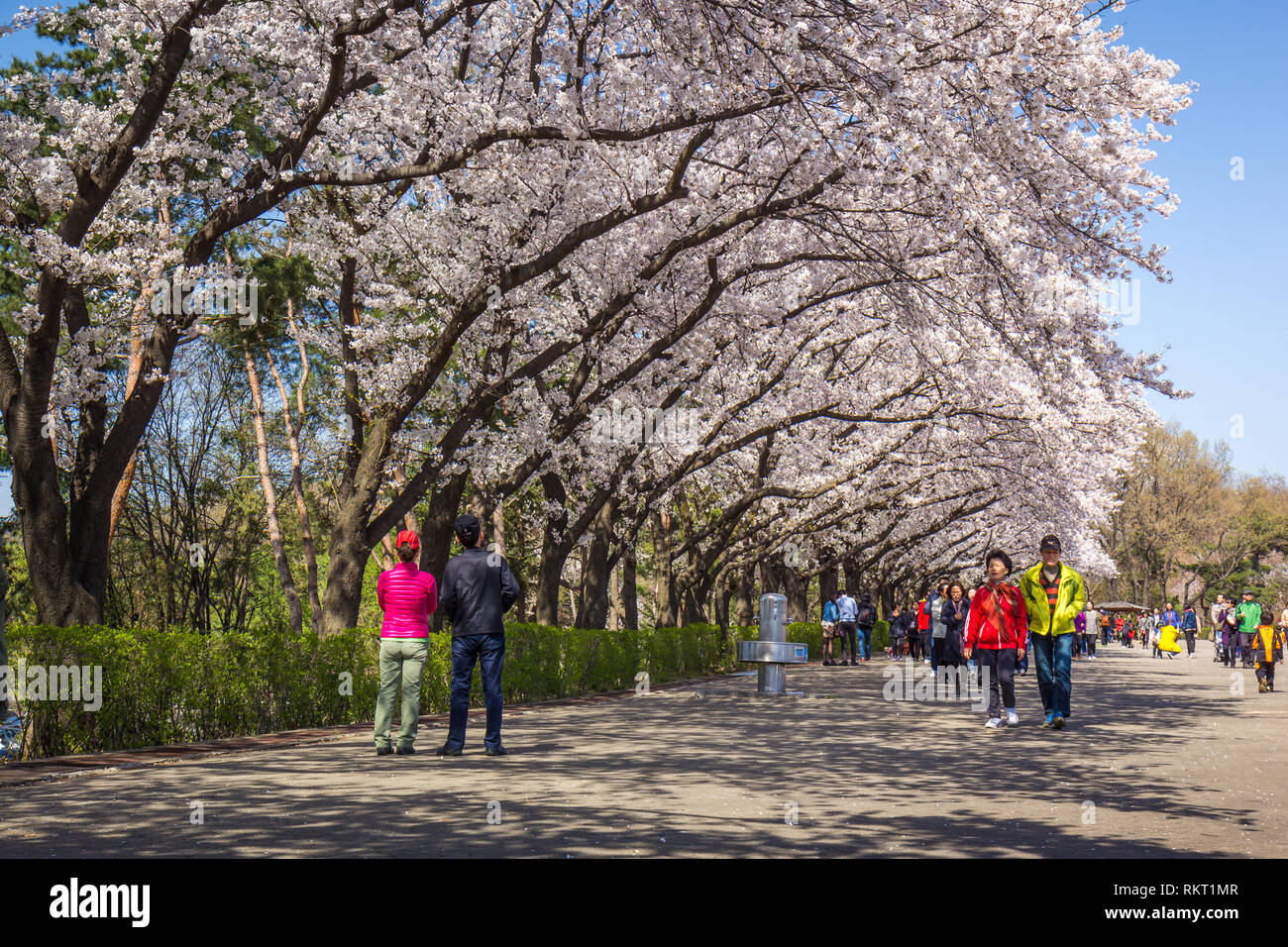 Seoul Weather in April Forecast