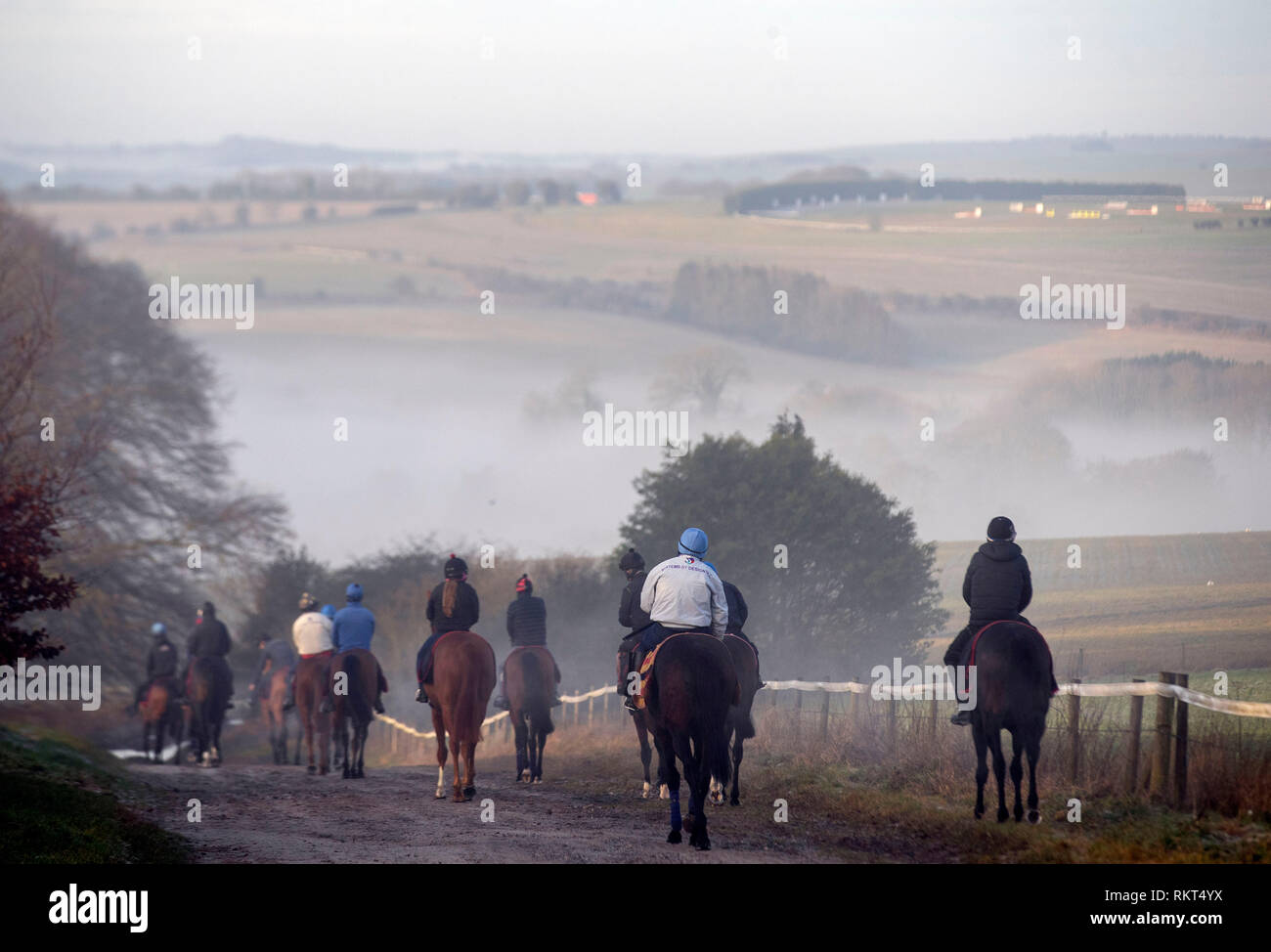 Race horses are exercised on the gallops in Lambourn, Berkshire Stock ...
