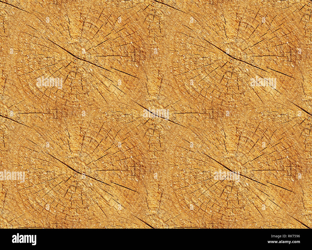 Cross section of trunk as a seamless wooden background Stock Photo - Alamy