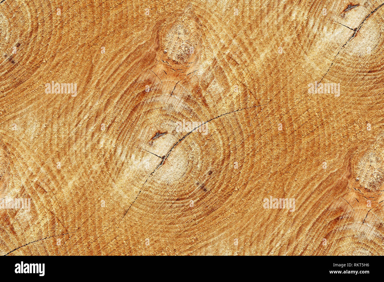 Cross section of trunk as a seamless wooden background Stock Photo - Alamy