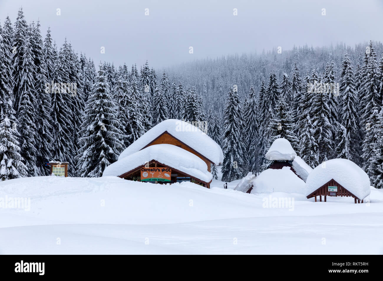 Cabin in the woods, a house covered in snow by the pine forest Stock ...
