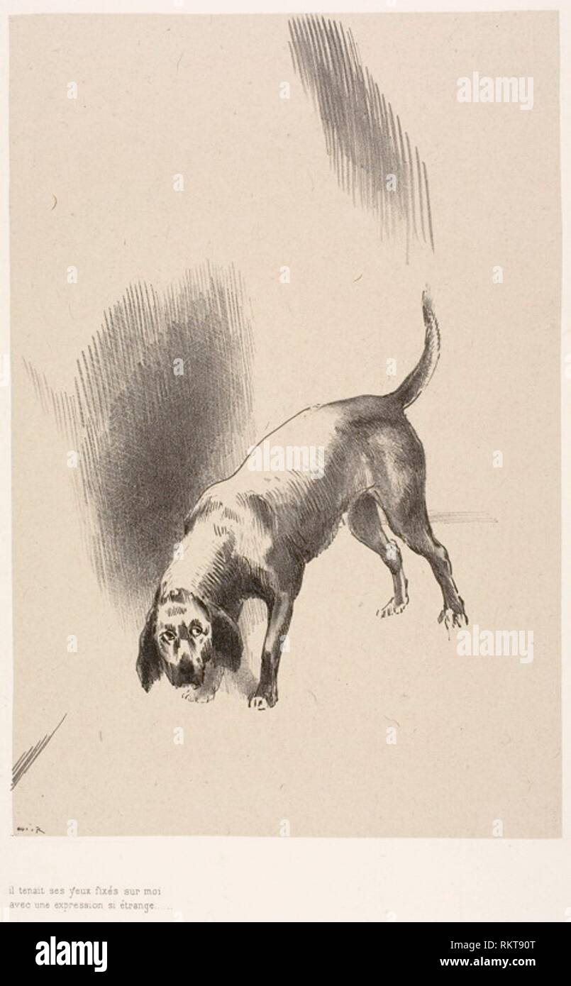 He [The Narrator's Dog] Kept His Eyes Fixed on Me With a Look So