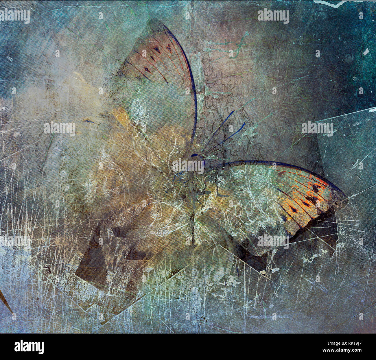 a grunge butterfly design wallpaper texture Stock Photo - Alamy