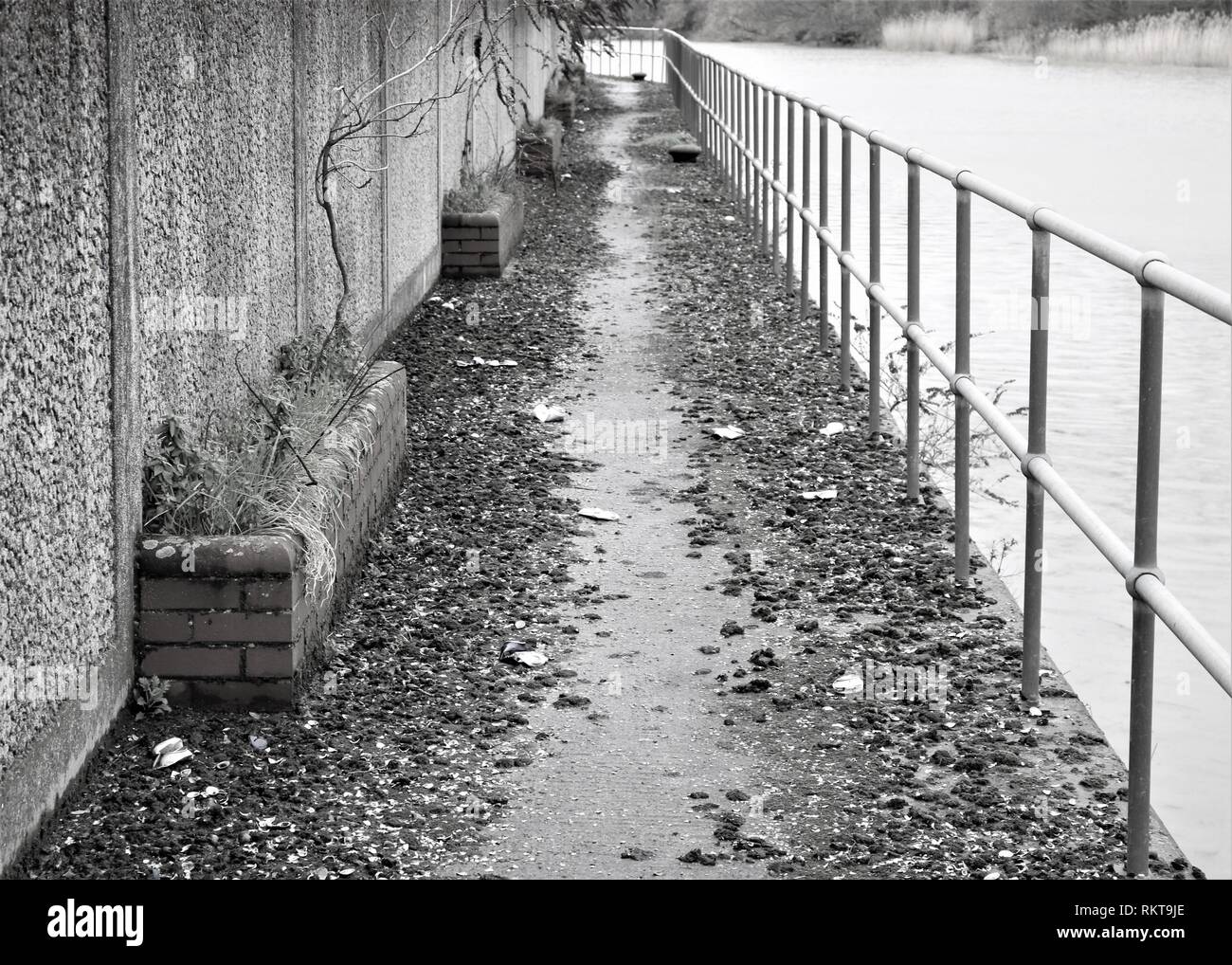 New Hythe , Kent Stock Photo Alamy