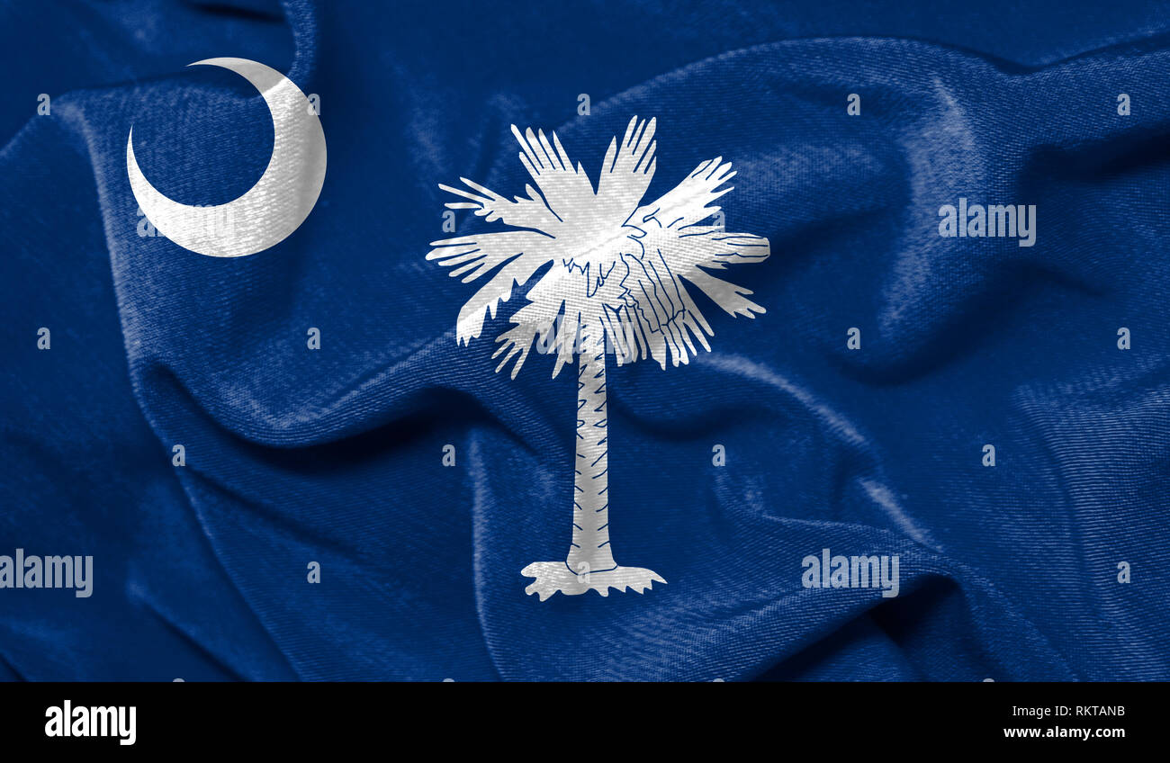 Realistic flag State of South Carolina on the wavy surface of fabric ...