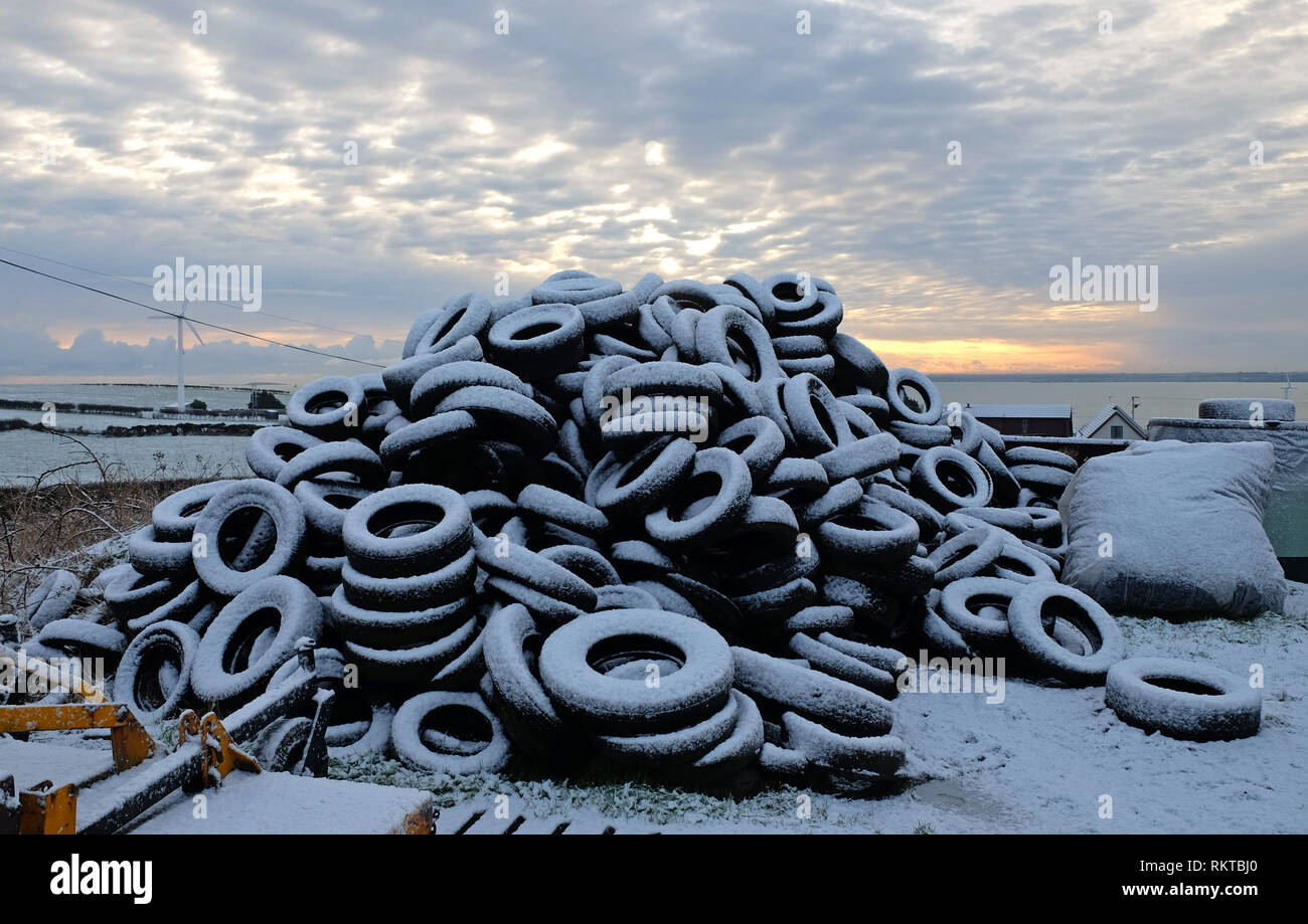 Snow on tyres used for weighting down silage, Quay Lane, County Antrim. Stock Photo
