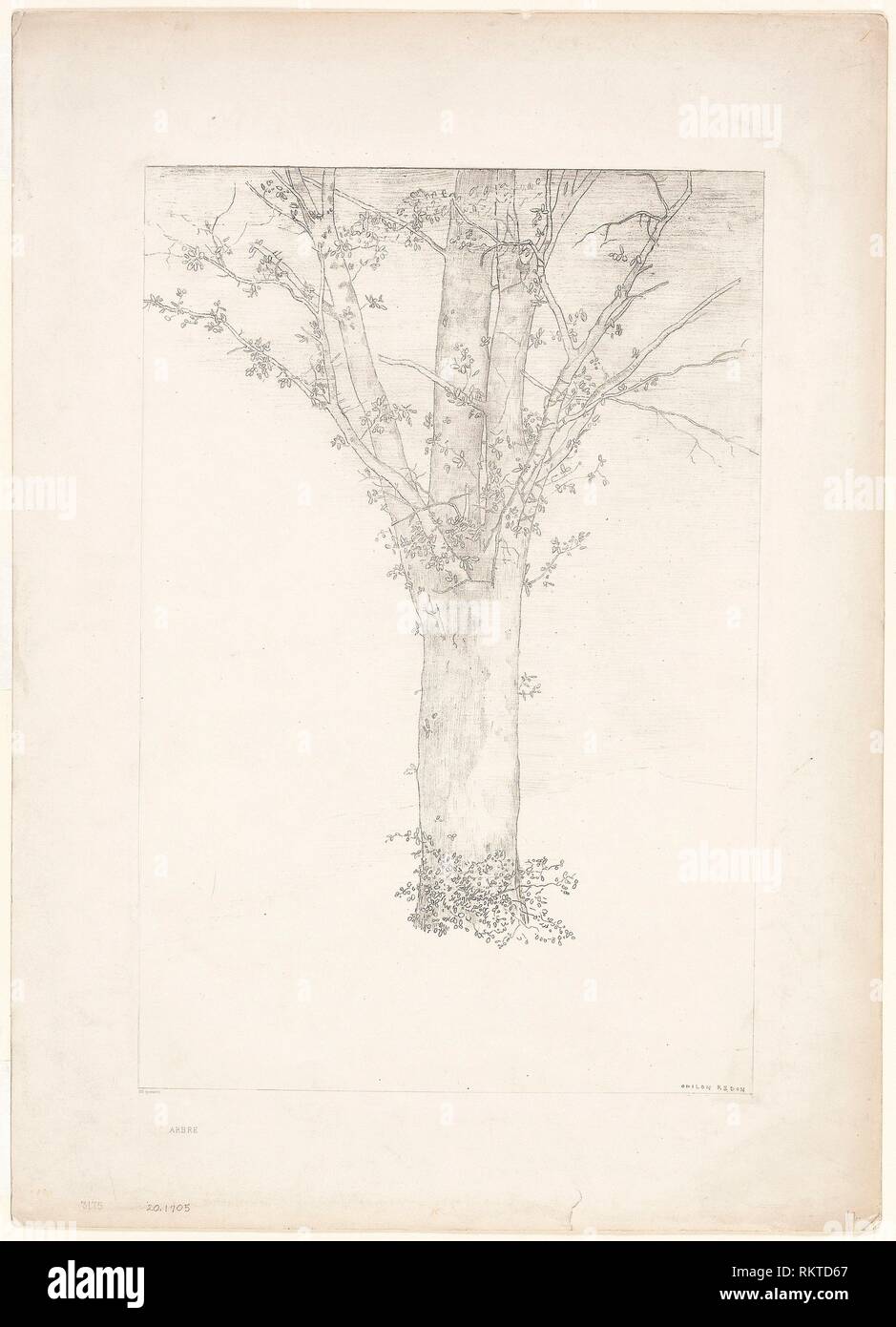 Tree - 1892 - Odilon Redon French, 1840-1916 - Artist: Odilon Redon ...