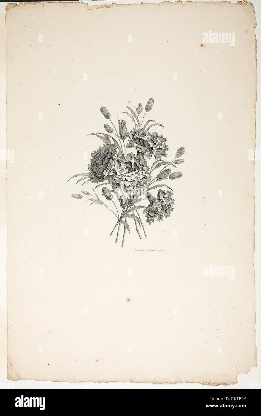 Bouquet with Carnations, from Collection of Different Bouquets of