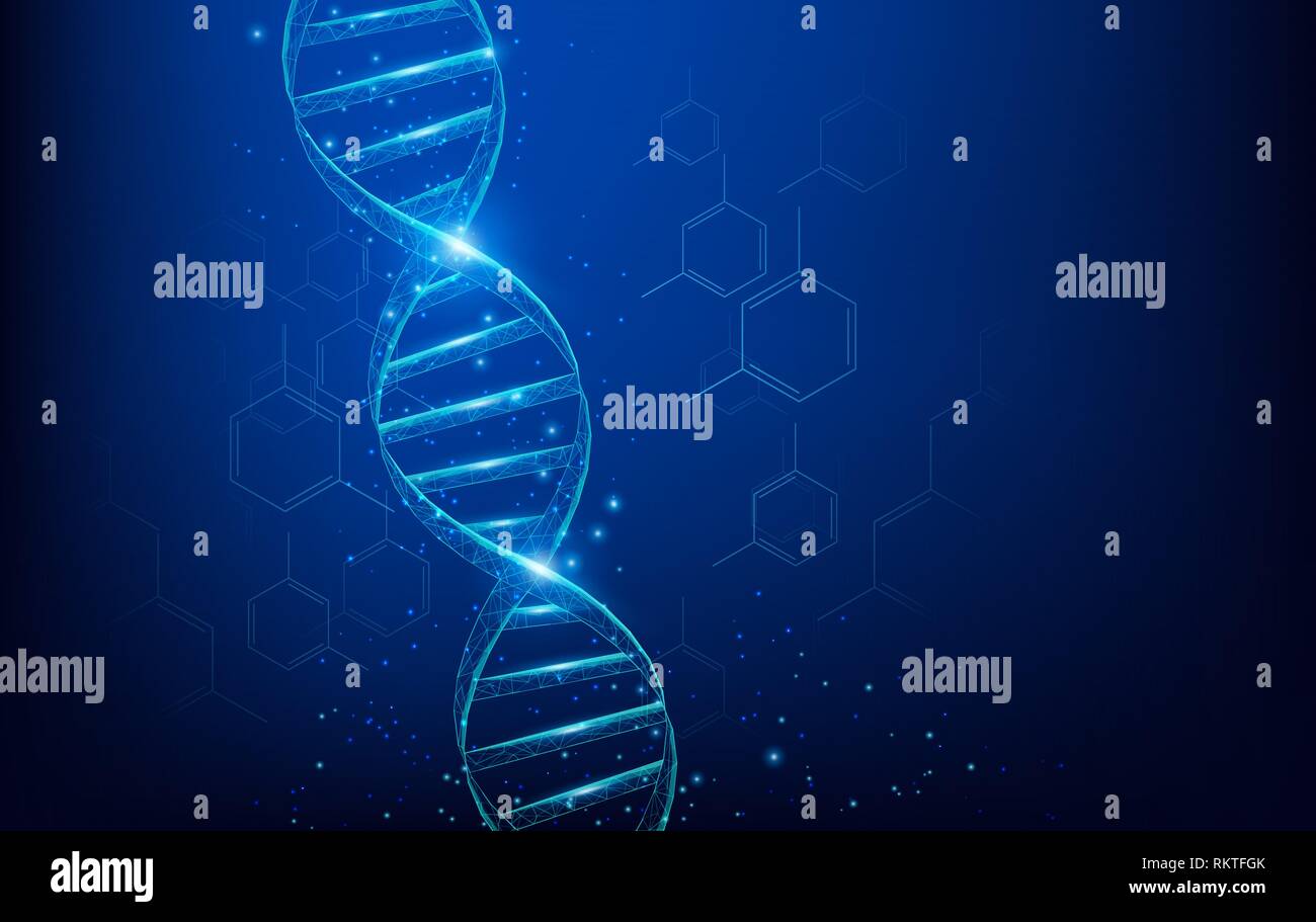 Wireframe DNA molecules structure mesh low poly consisting of points, lines, and shapes on dark blue background. Science and Technology concept Stock Vector