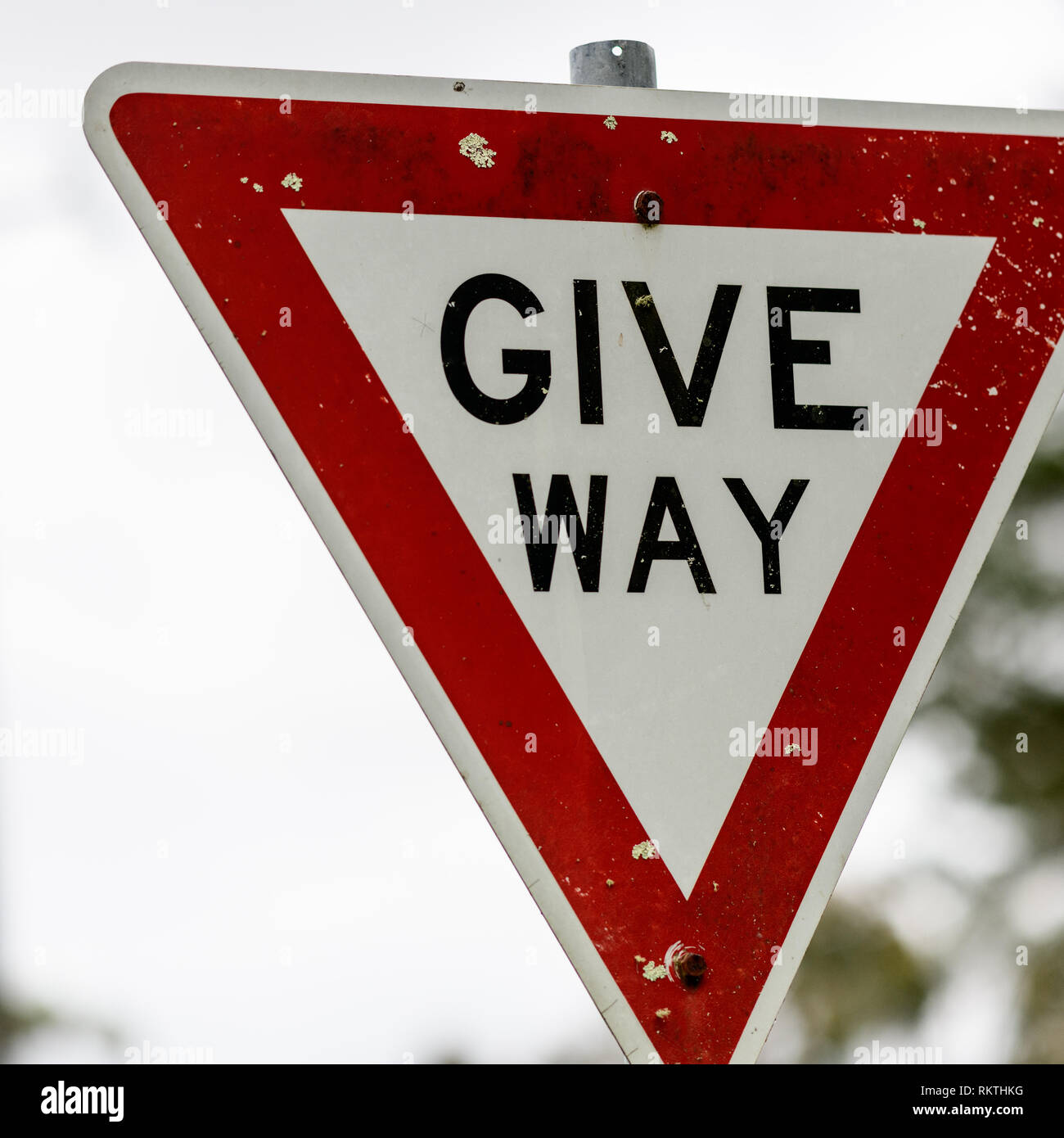 giveway road sign stock photo alamy https www alamy com giveway road sign image235953972 html