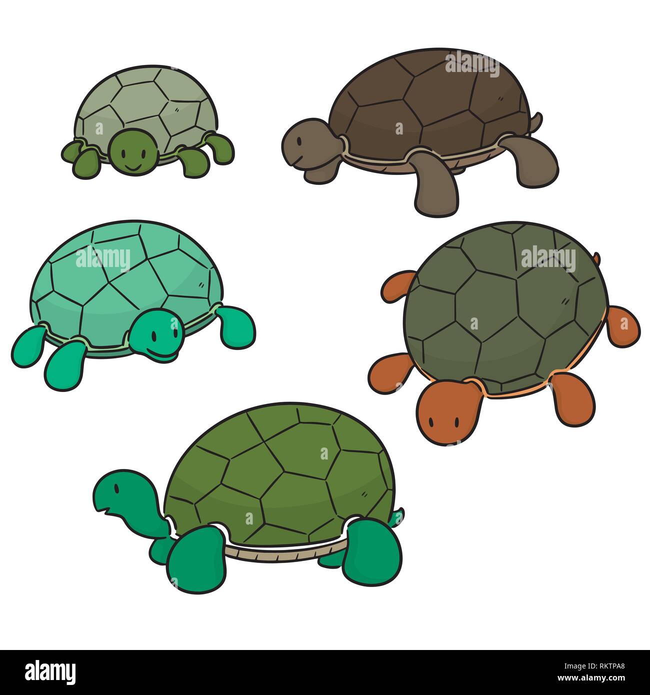 vector set of turtle Stock Vector Image & Art - Alamy