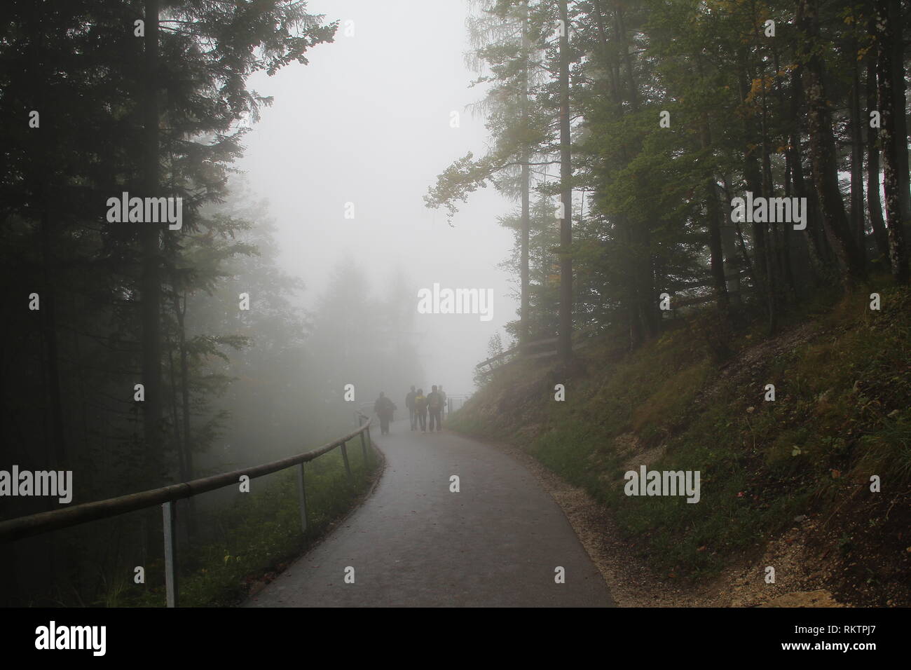 Black and white landscape with fog hi-res stock photography and images ...