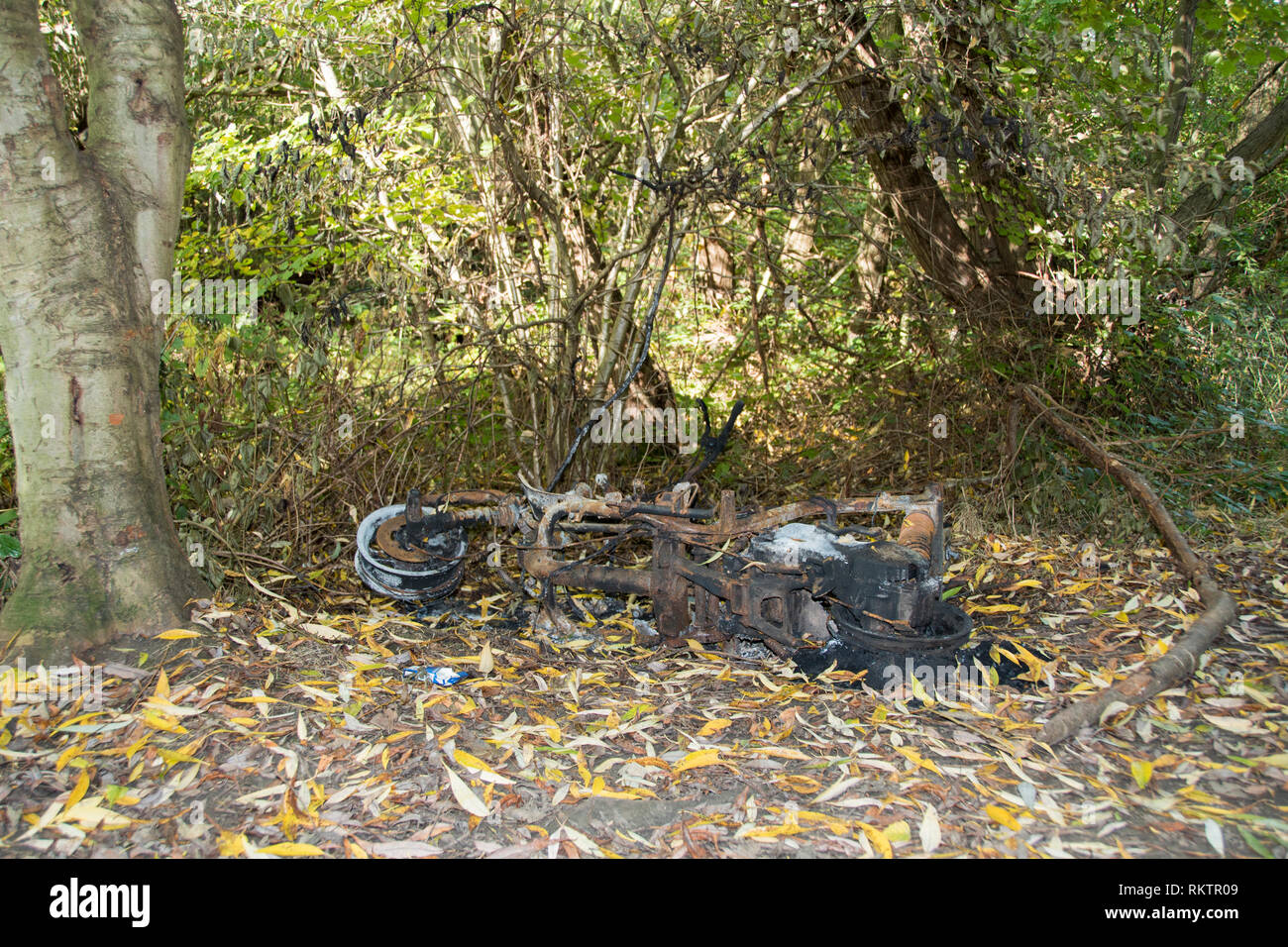 Sheffield, UK: Oct 20 2016: A burned out rusty old moped abandoned in the woods beside the forest path where it was set on fire, in Woodthorpe Ravine Stock Photo