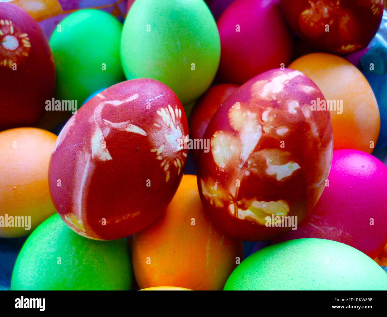 Easter eggs homemade with colors or flowers and natural dying technique Stock Photo