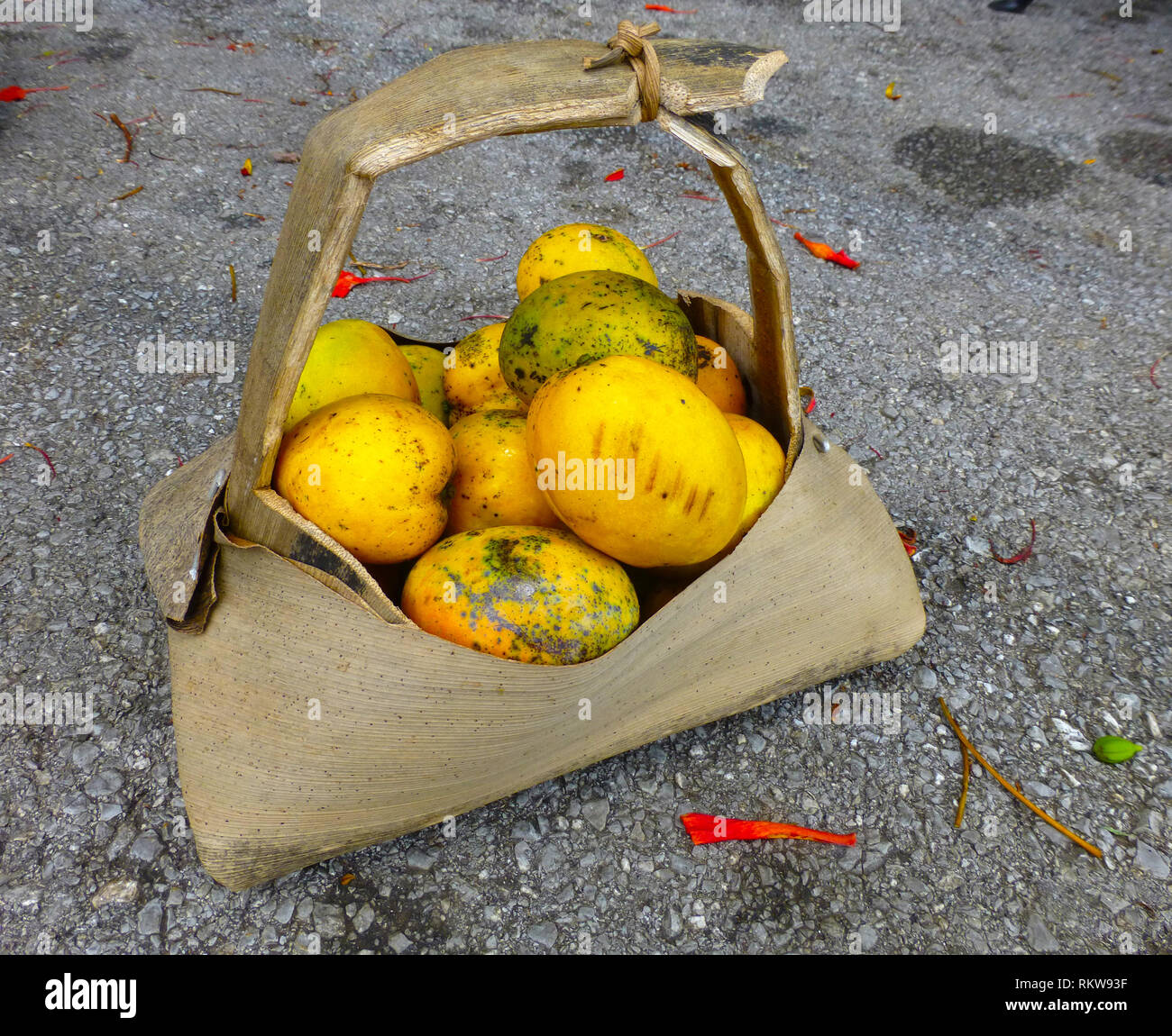 Mango a chupar in a plant made basket Stock Photo