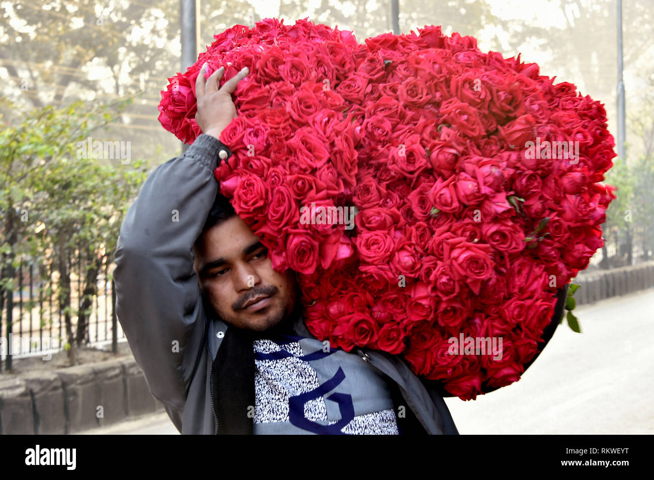 Valentines Day At Trader Rose >> 190212 Dhaka Feb 12 2019 Xinhua A Trader Carrying Roses Valentines Day At Trader Rose >> 190212 Dhaka Feb 12 2019 Xinhua A Trader Carrying Roses