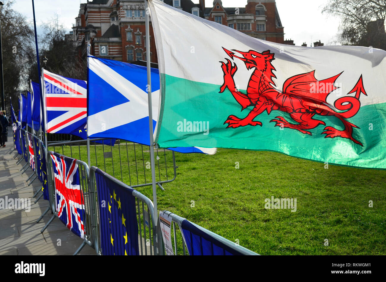 Westminster, London, UK.  12th Feb 2019. Politicians around College Green, Westminster. SODEM's anti-Brexit campaign flags flying Credit: PjrFoto/Alamy Live News Stock Photo